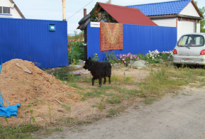 Борьба с паводками