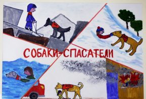Призовые работы участников конкурса 