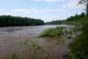 Паводки в Верхнебуреинском районе